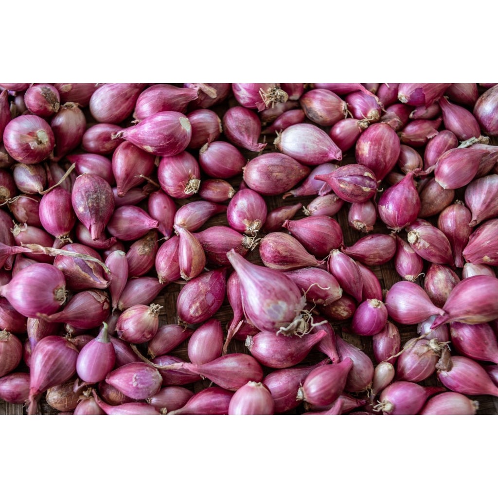 

Bawang Merah Ponorogo