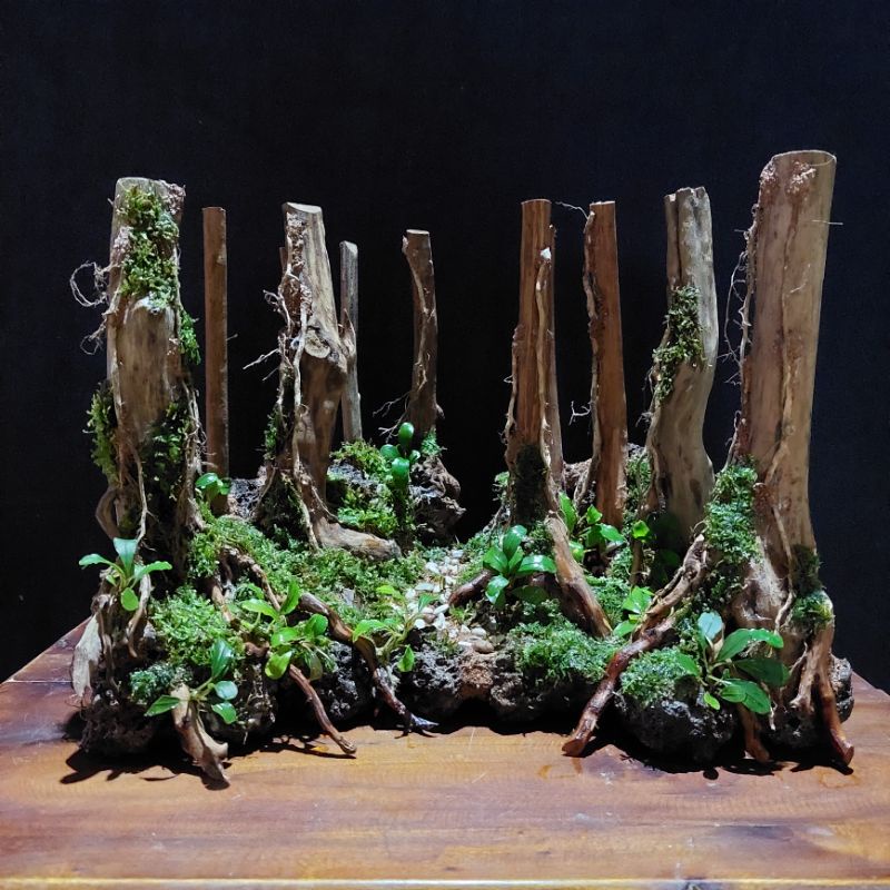 Hardscape Hiasan Aquascape / Aquarium Tema Hutan / Jungle