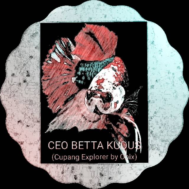 ceobettafarmkudus
