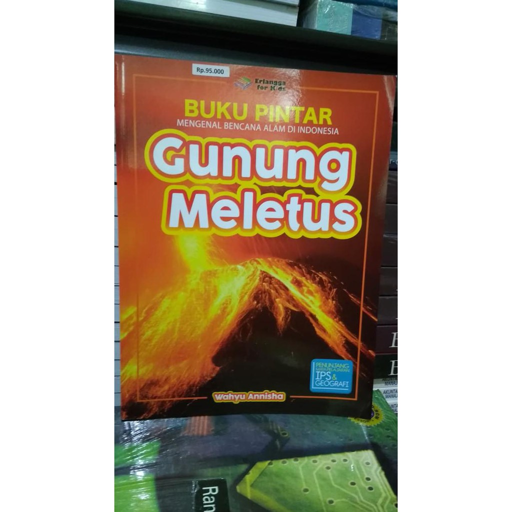 Buku Anak Seri Bencana Seri Pengetahuan Bencana Alam Tsunami Gunung