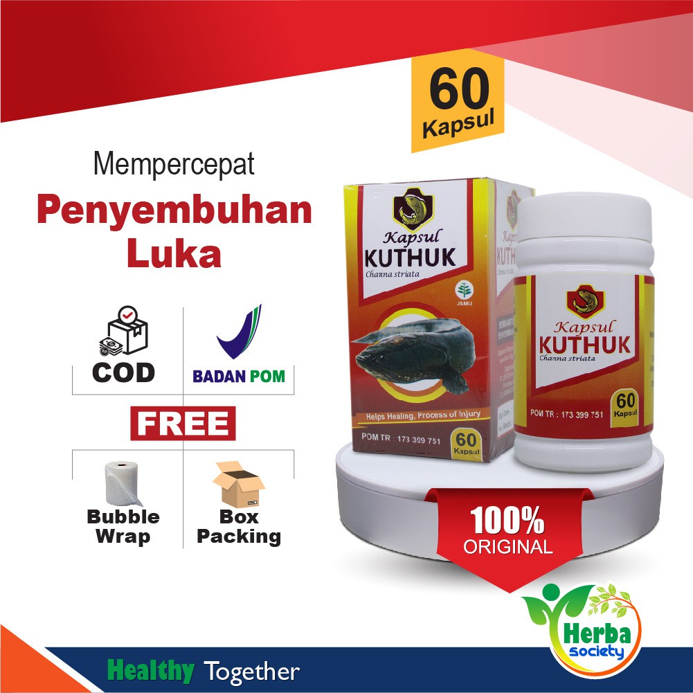 Kapsul Kutuk Ikan Gabus Premium Asli 100% Original Albumin Asli