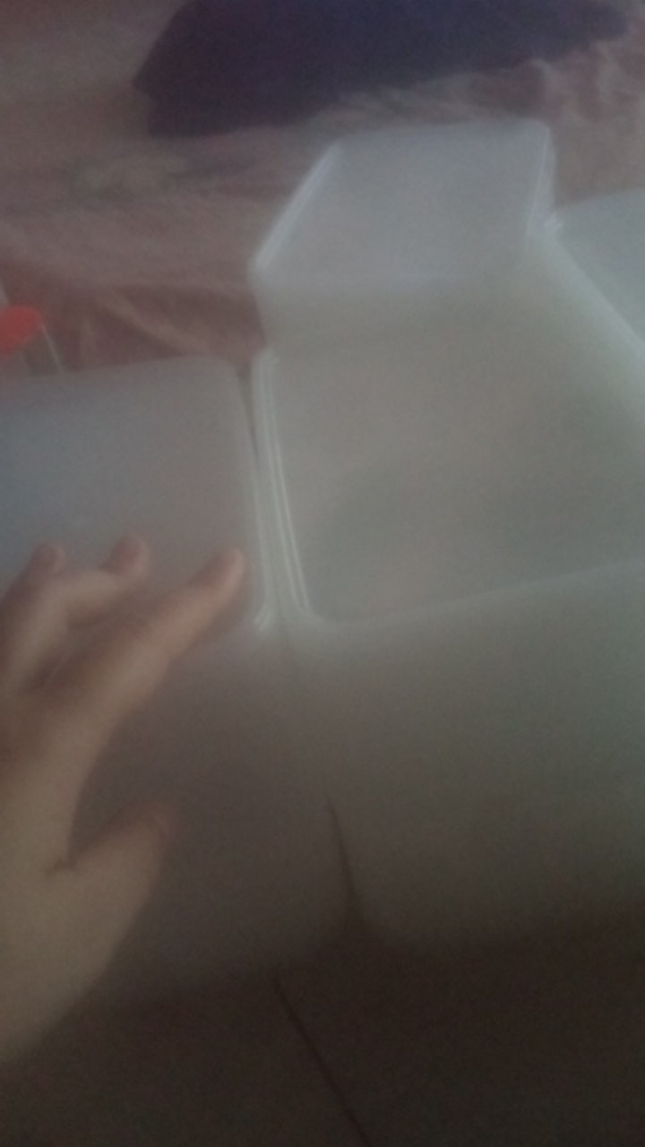 Thinwall Bulat / Panjang 500ml- Kotak Makan Anti Panas - Food Container Min 25pcs