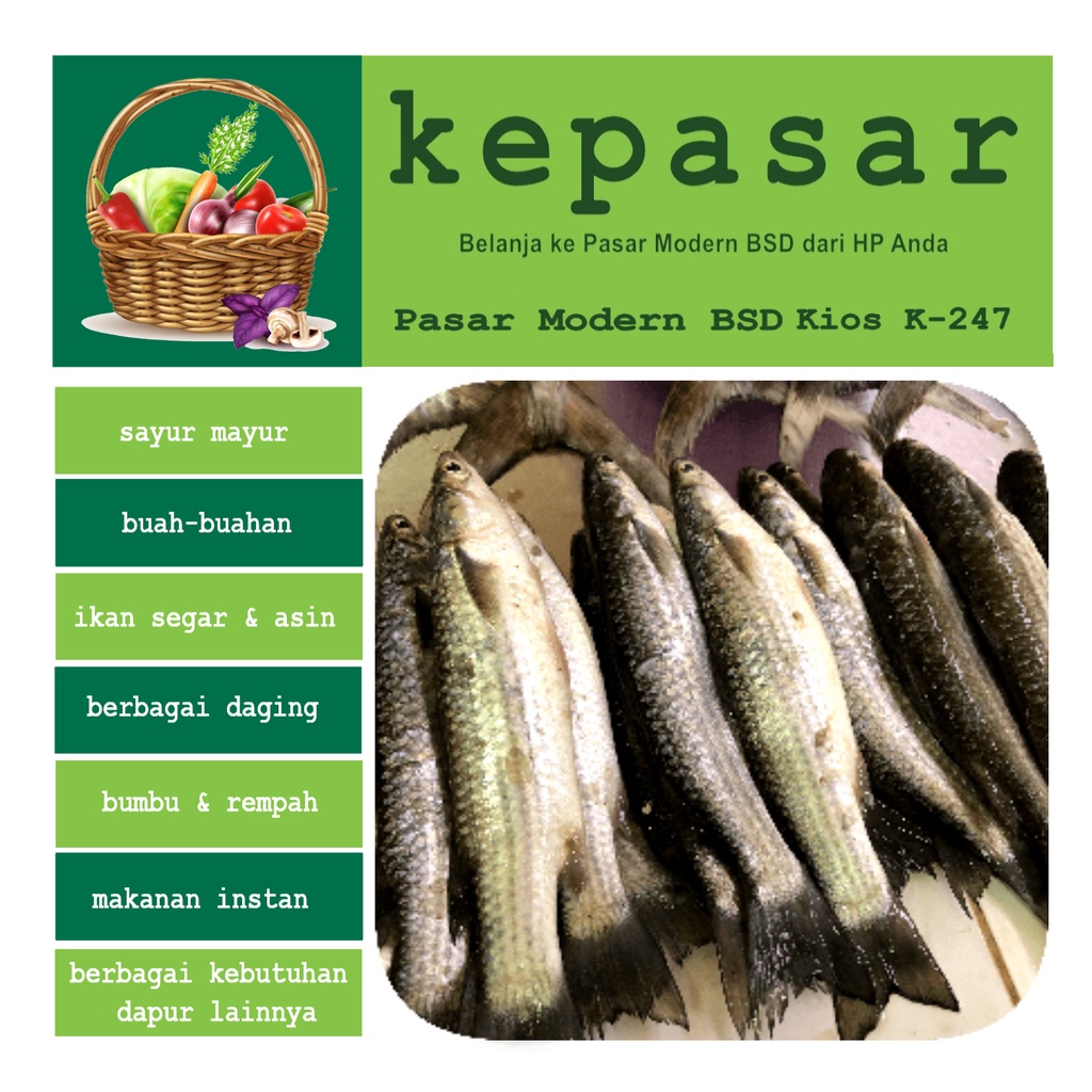

Ikan Belanak 500 g