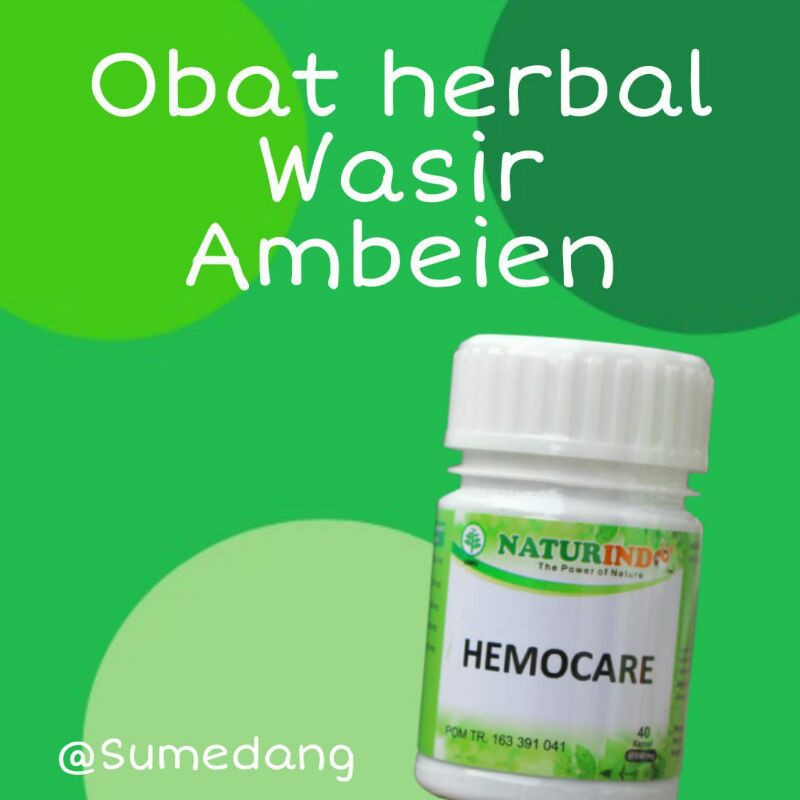 HEMOCARE obat herbal ambien ambeyen anus bengkak lecet dengan gejala susah bab panas benjolan nyeri dan radang isi 40 kapsul-7