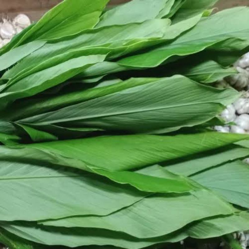 

BSM | TERMURAH Daun Kunyit Segar per Ikat | Sayur online