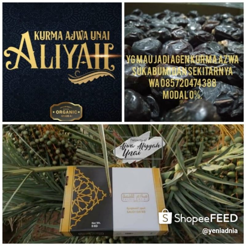 

kurma Ajwa Aliyah premium