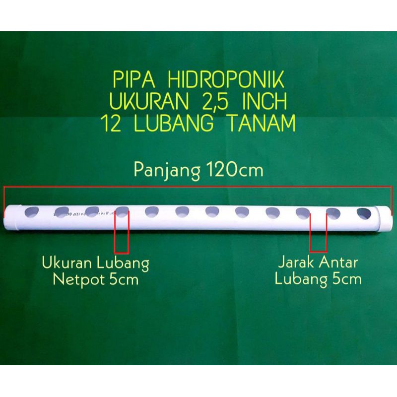 Pipa hidroponik 2.5 inch / 12 lubang
