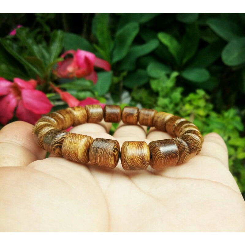 gelang setigi,galih johar,kemuning,kelor hitam