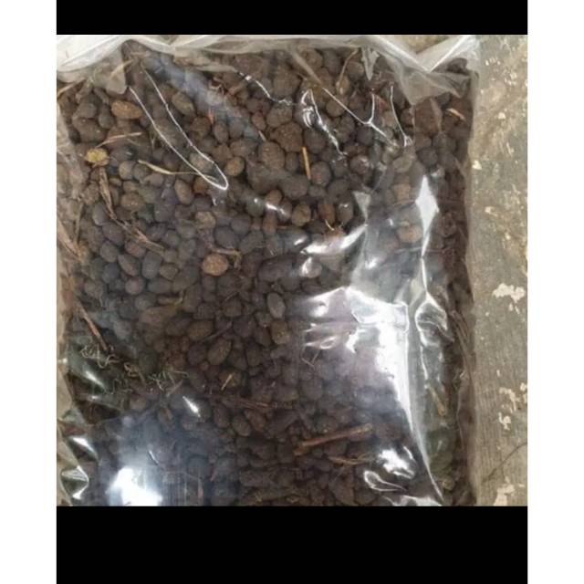 Pupuk kotoran kambing pupuk kambing murni