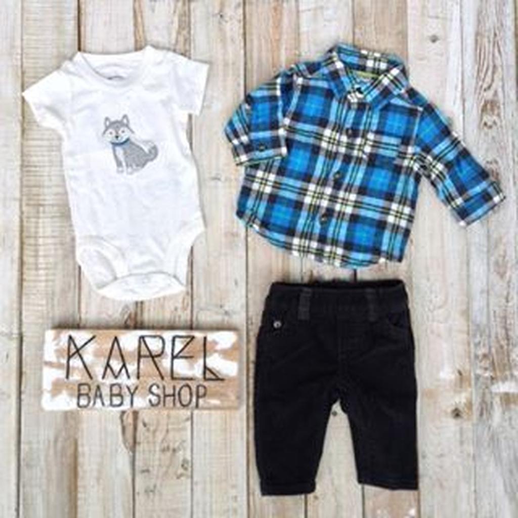 Carter's Fox Blue Flanel Set