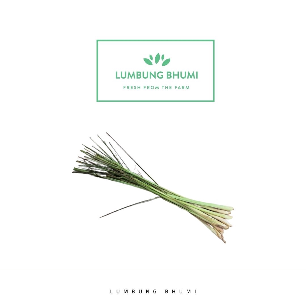 

Lumbung Bhumi - Batang Serai Kecil 100 Gr ( Sayur Curah )