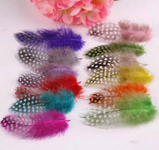 25pcs bulu polkadot bulu bintik