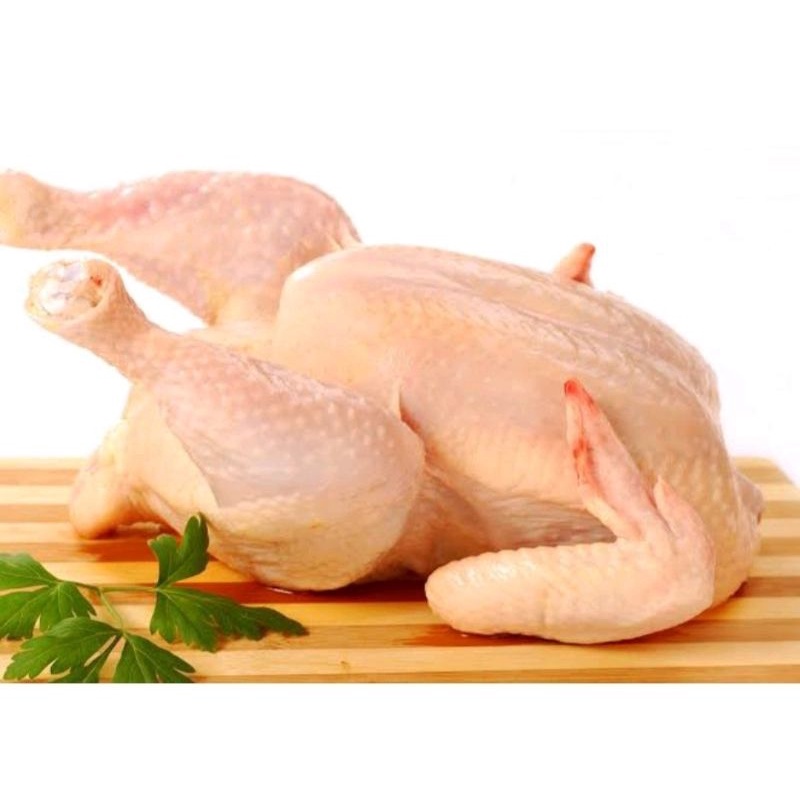 

AYAM BROILER POTONG UTUH BEKU 0.9 - 1 KG/ POTONG 9 - 10