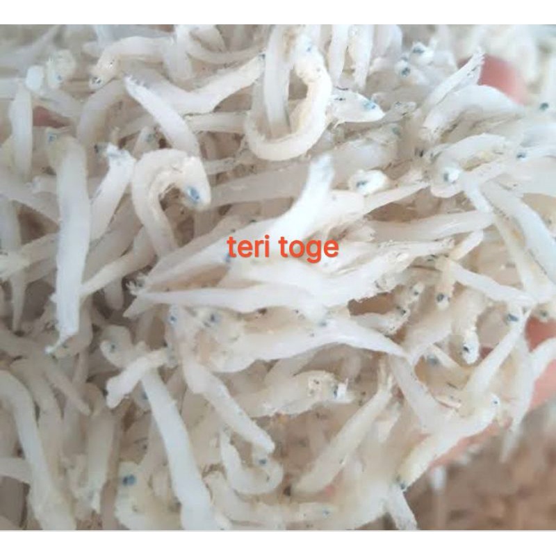 

Ikan kering ikan teri toge surga kebutuhan ku