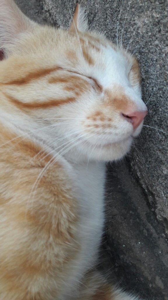 Sabun Ershali Nasa Murah