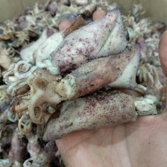

CUMI SOTONG ASIN BESAR BERTELUR 500 GR