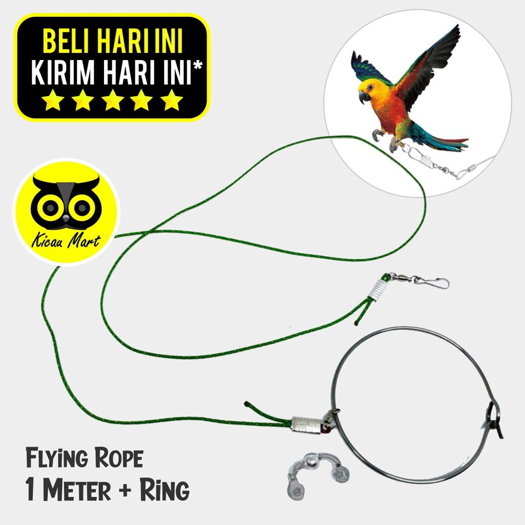 BIRD FLYING ROPE TALI IKAT GELANG KAKI BURUNG LOVEBIRD PARKIT FALK BURUNG KECIL TRAINING SETT TLBPRT