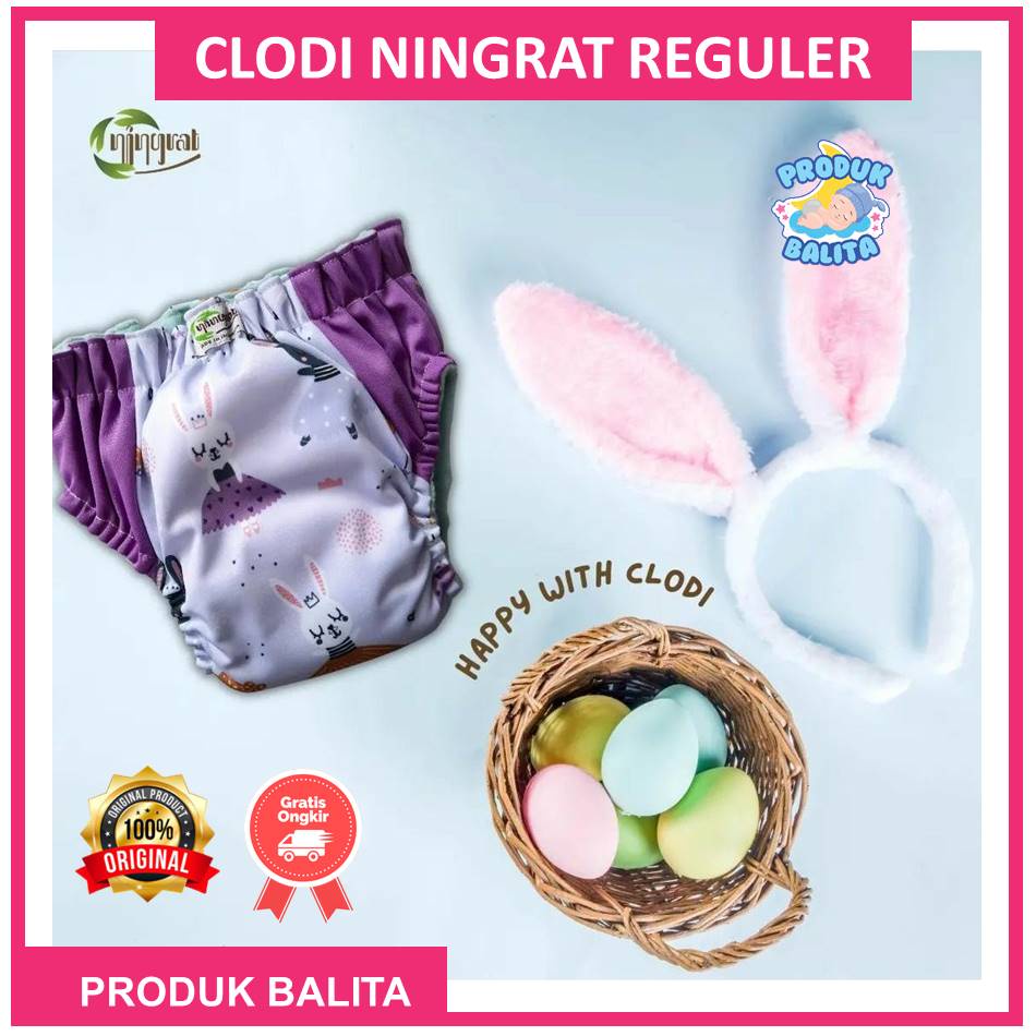 Clodi Bayi Ningrat AIO Reguler Motif Bb 5 -15 Kg Popok Celana ALL IN ONE Pempers  Kain Cuci Ulang Terlaris