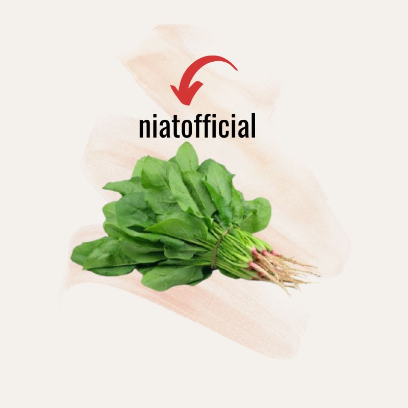 

Bayam, Daun katuk