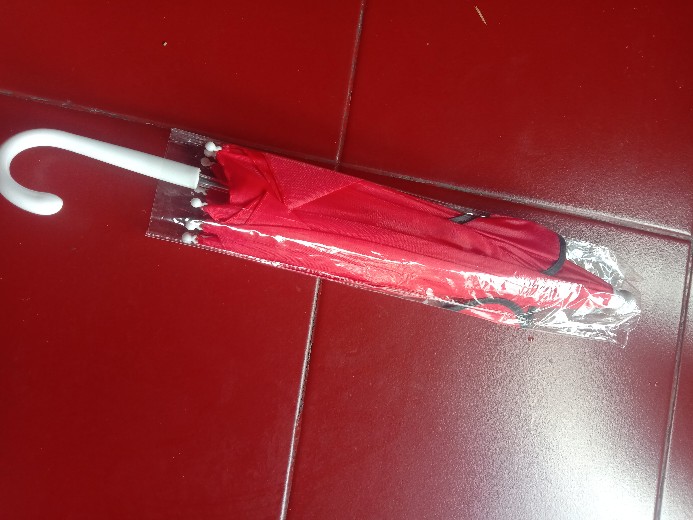 Payung Anak Karakter Kucing/ Payung Mainan/ Payung Motif Animal Kuping Kecil