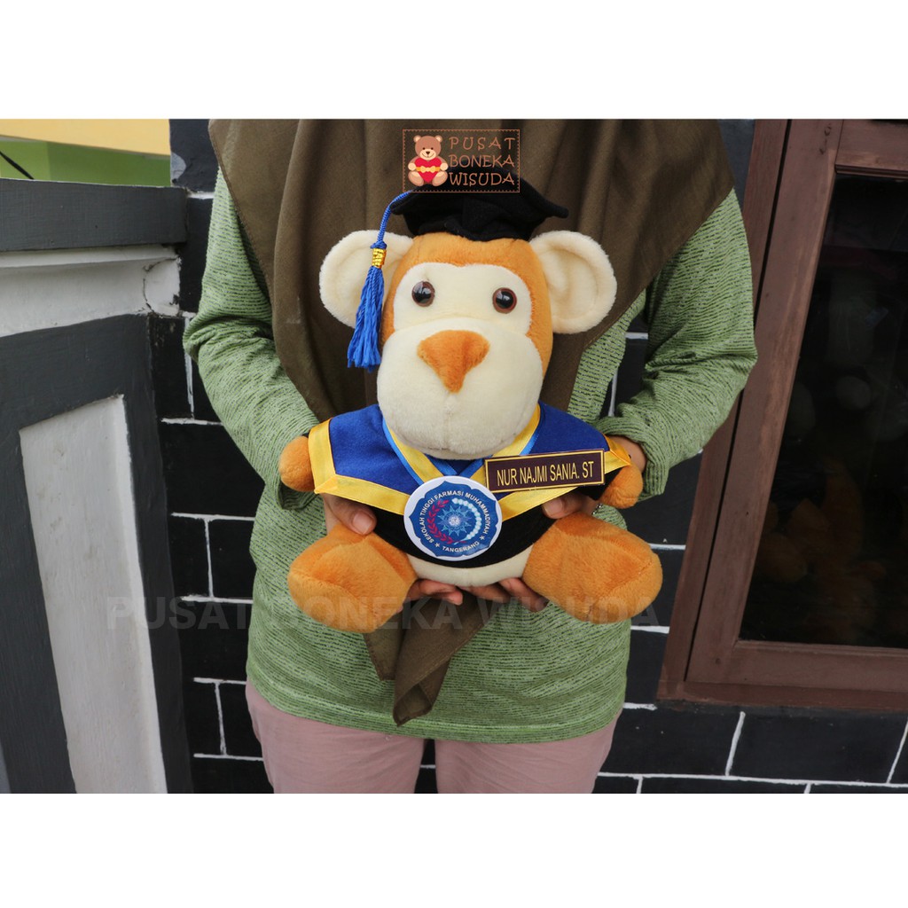 Boneka Wisuda Monkey Pria Cowo Cute Monyet Kera Kado Wisuda Hadiah Sidang skripsi Murah Laki laki