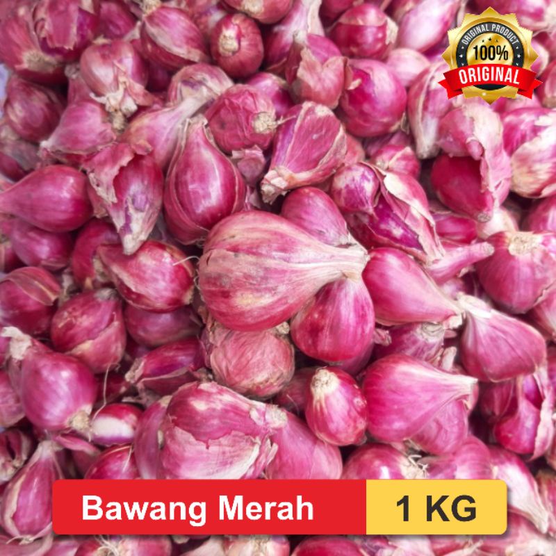 

Jual Bawang Merah Brebes Ukuran Besar 1 KG Kualitas Premium