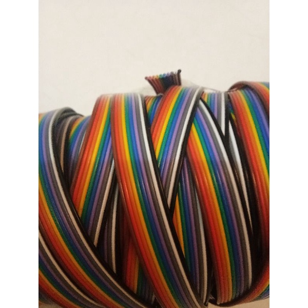 Kabel Pelangi 10 Pin