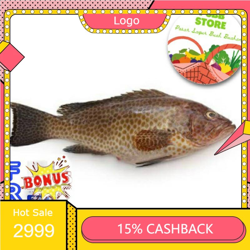 

RENGKEK SURABAYA - Ikan Kerapuh Segar