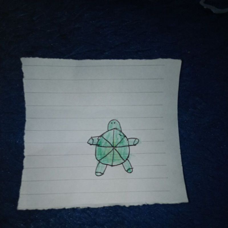 

gambar kura kura dll