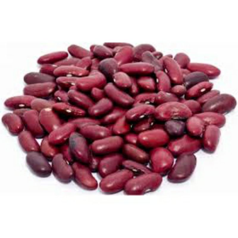 

Kacang Merah segar