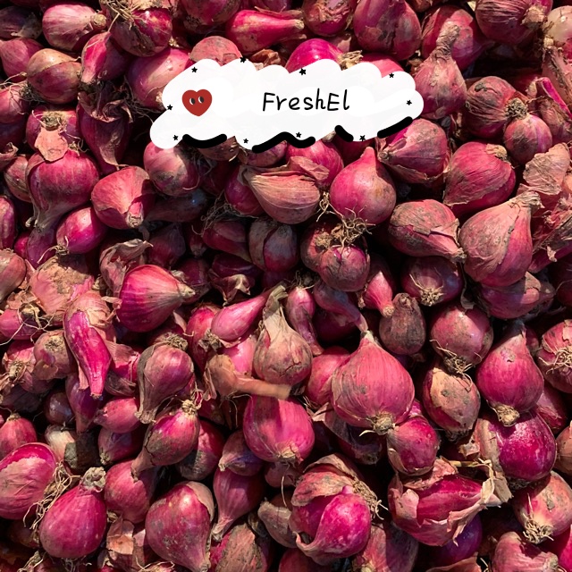 

FreshEl - BAWANG MERAH UKURAN CAMPUR