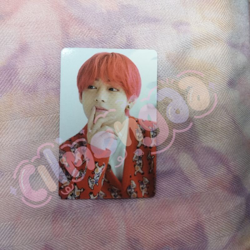 Tae Zoom//Tae ceri // tae cherry // tae dicon