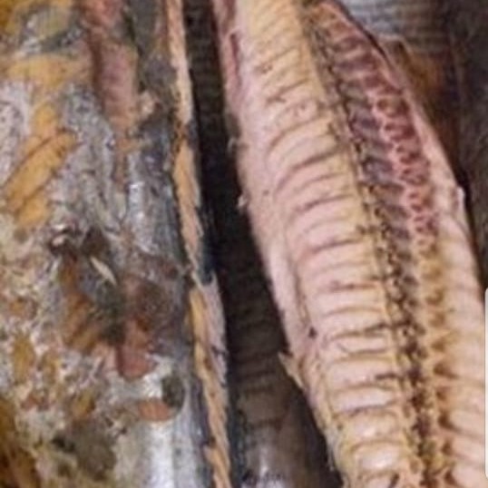 

Ikan Tongkol asap1 Kg - Ikan Cue - Smoked Mackarel Tuna Fish