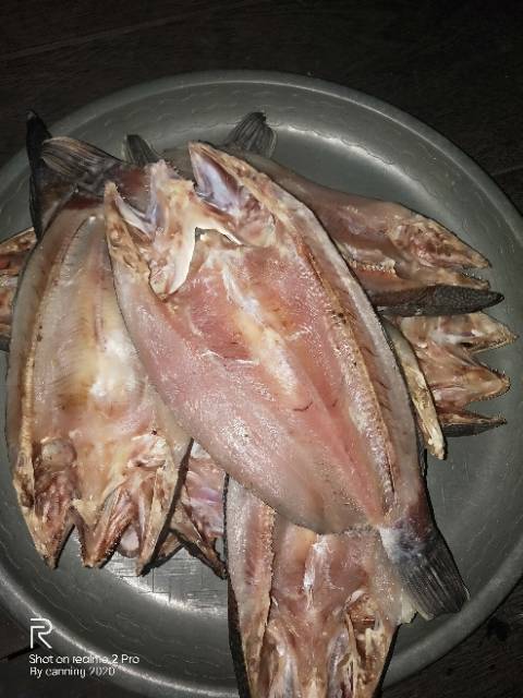 

IKAN ASIN TOMAN DAN GABUS