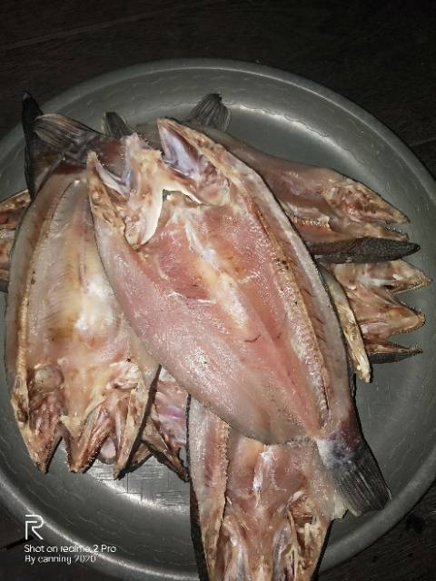 IKAN ASIN TOMAN DAN GABUS