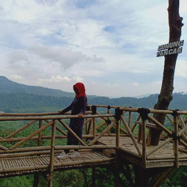venysa089