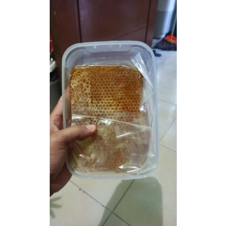 

Madu Sarang Asli