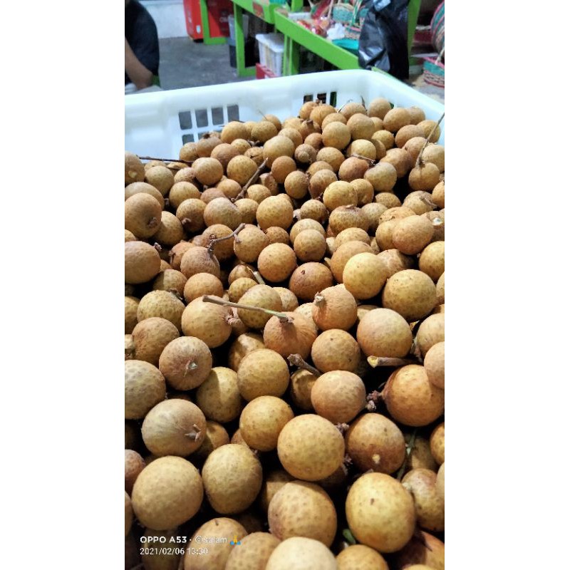 

Buah Kelengkeng Bangkok Segar 1kg/ Stiker Merah /stiker kuning /size Besar Manis