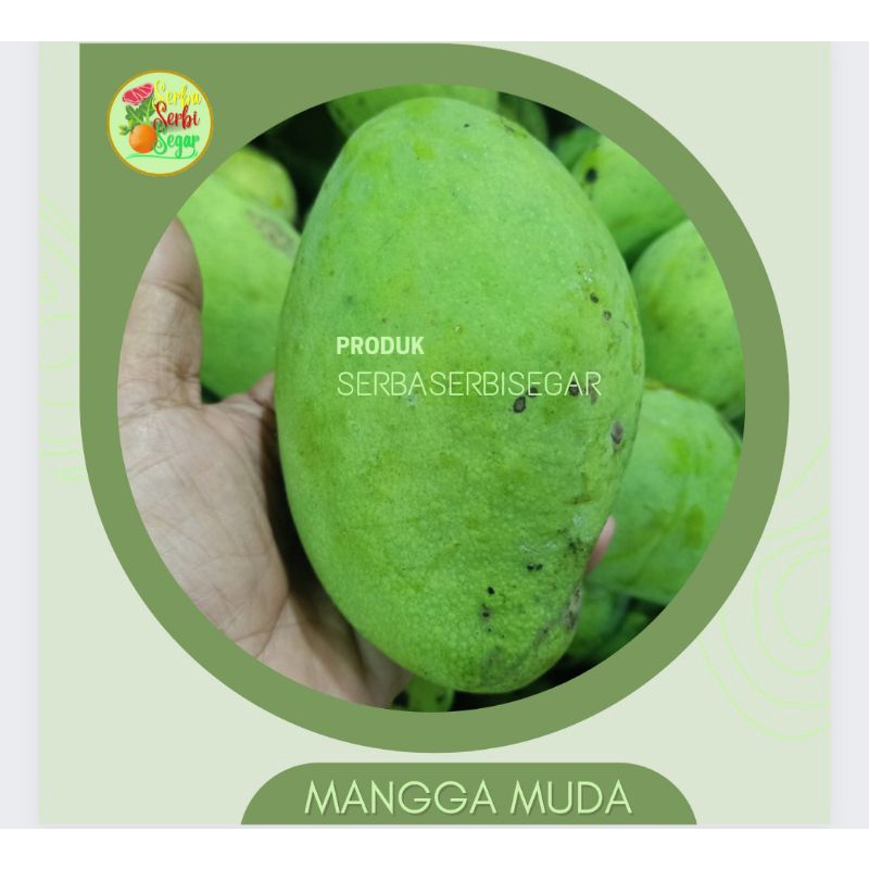 

MANGGA MUDA 1 KG