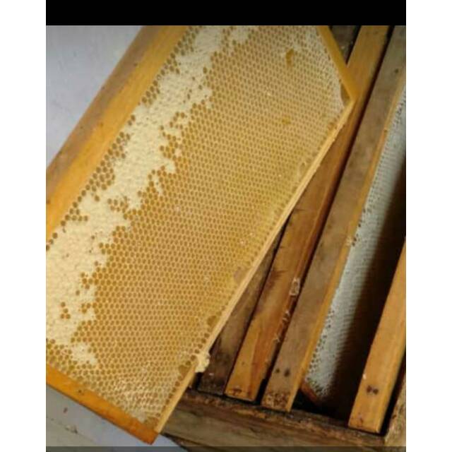 

Sarang Madu Asli 500gr Madu Sarang Honey Comb