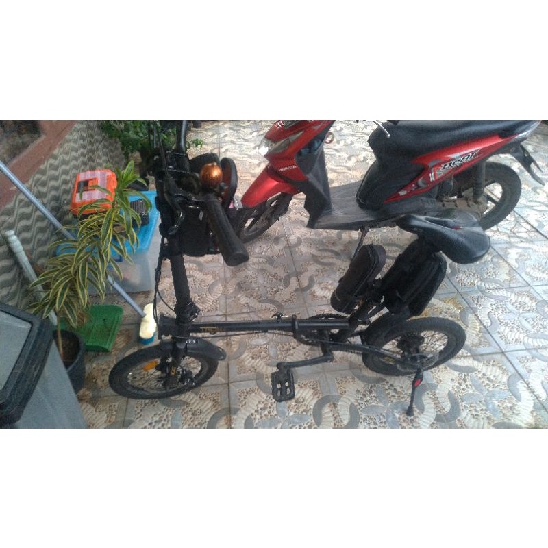 Evergreen Maximus Custom Uk 16