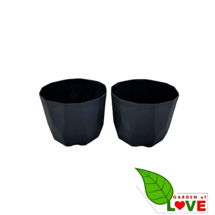 Pot Permata 12 Hitam DA 10,5cm By Garden Of Love Pot Plastik Kaktus Murah Uk Mirip Pot Tawon 10cm