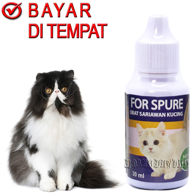 FOR SPURE OBAT KUCING HERBAL SAKIT SARIAWAN BAU MULUT TENGGOROKAN