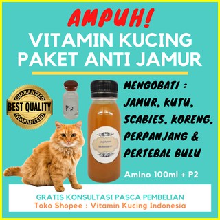 Inilah Manfaat Vitamin D3 Untuk Kucing 