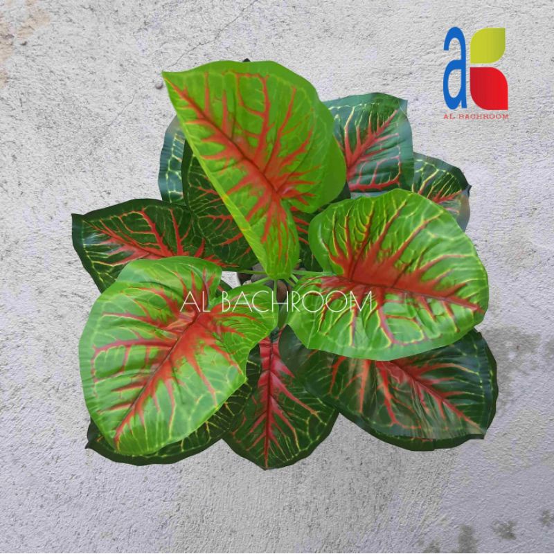 TANAMAN PLASTIK HIAS DAUN KELADI B8276 ARTIFICIAL T58D12