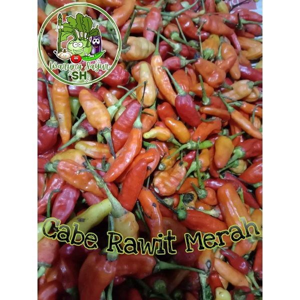 

Cabe Rawit Merah segar 1 kg | Fresh Vagetable