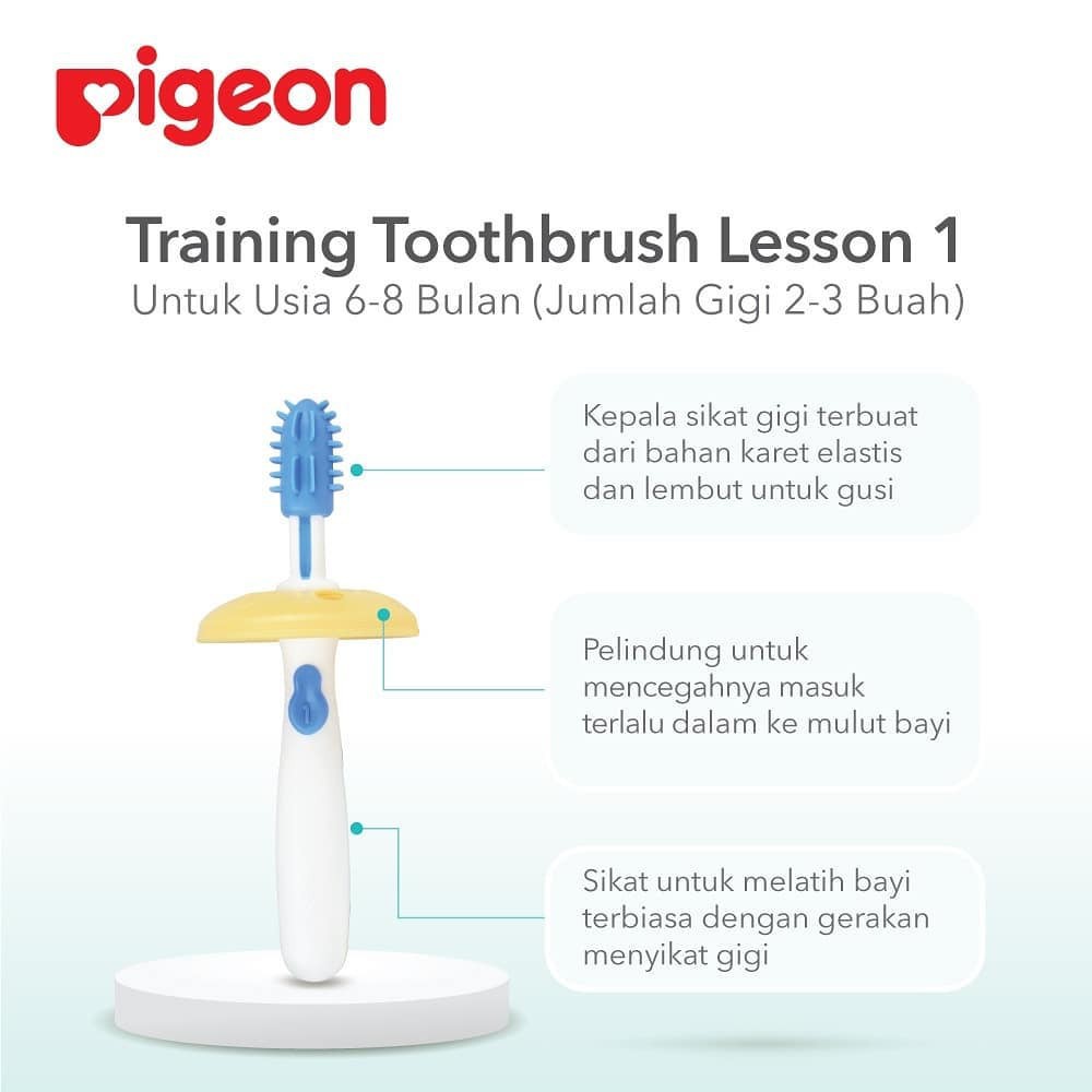 PIGEON TRAINING TOOTHBRUSH LESSON 1 2 3 / TOOTHBRUSH / PIGEON