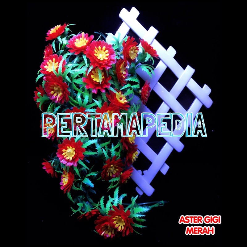 C5 Bunga Aster Gigi/Bunga Plastik/Daun Plastik/Rumput Plastik/Daun Rambat Plastik/Bunga Dekorasi-Merah