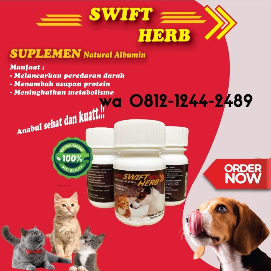 vitamin kucing sakit