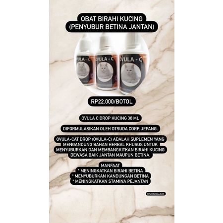OVULA OBAT BIRAHI KUCING